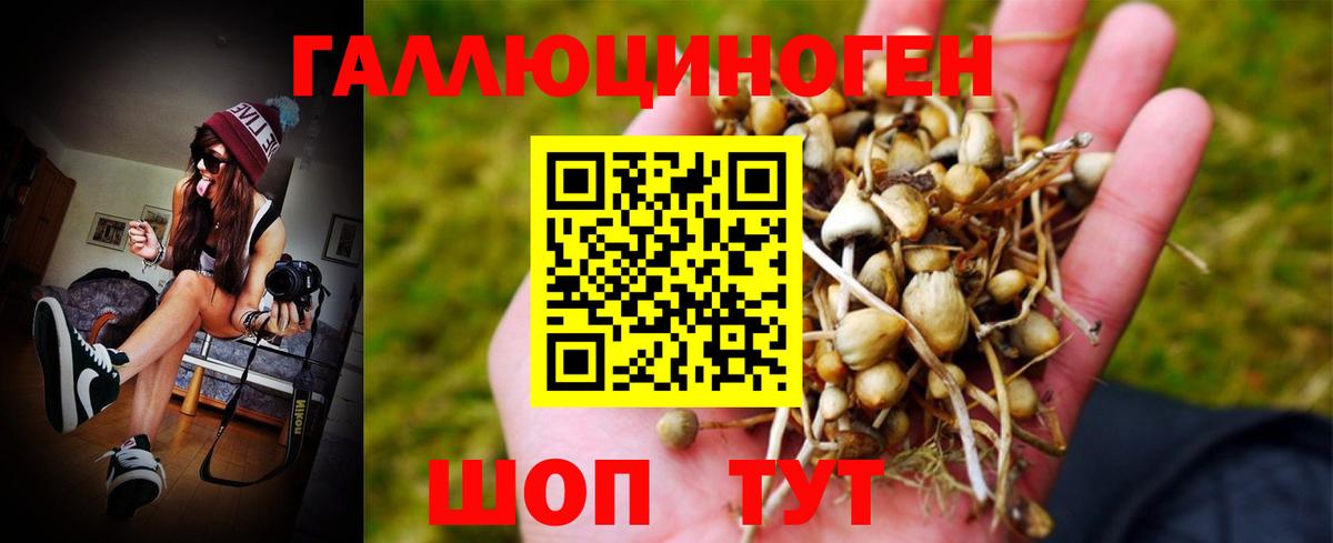 Псилоцибиновые грибы мицелий Родники