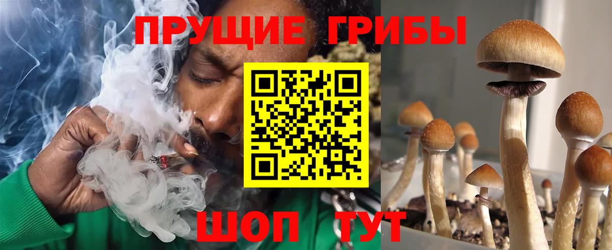 цена наркотик  Вход с VPN  Родники  Галлюциногенные грибы мухоморы  Галлюциногенные грибы Magic Shrooms 
